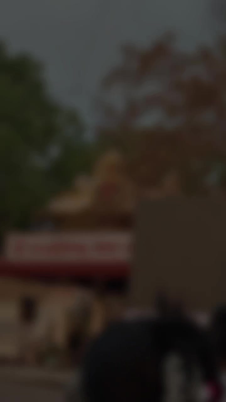 @Udayangani Dharamapala