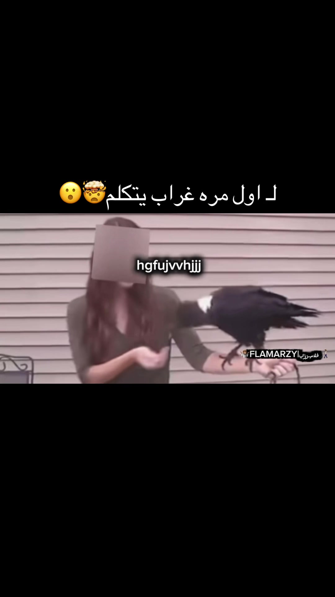 @🤷🏽FALAMARZY|فلامـرزيـ🧑🏽🦯