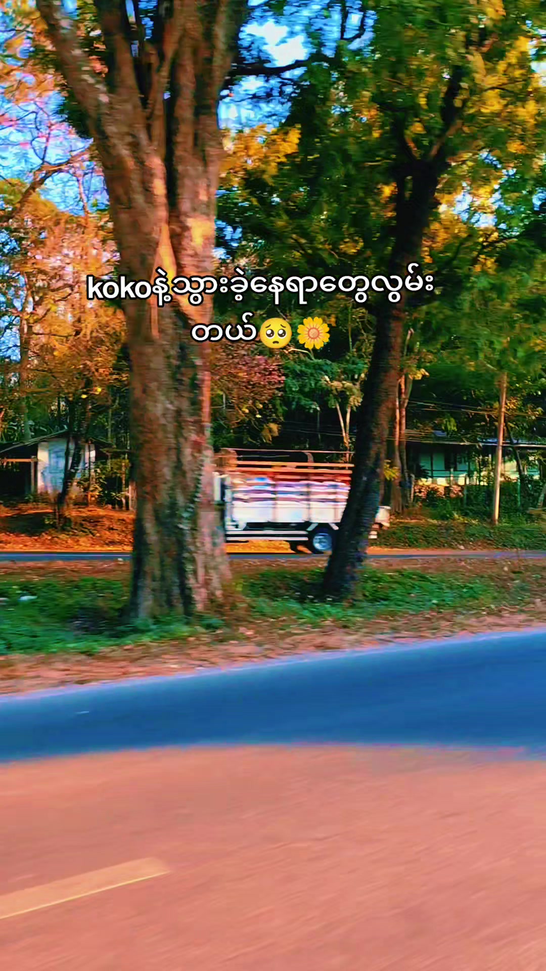 @🌼 Daw Aye 🌼(ပြင်ဦးလွင်သူလေး)