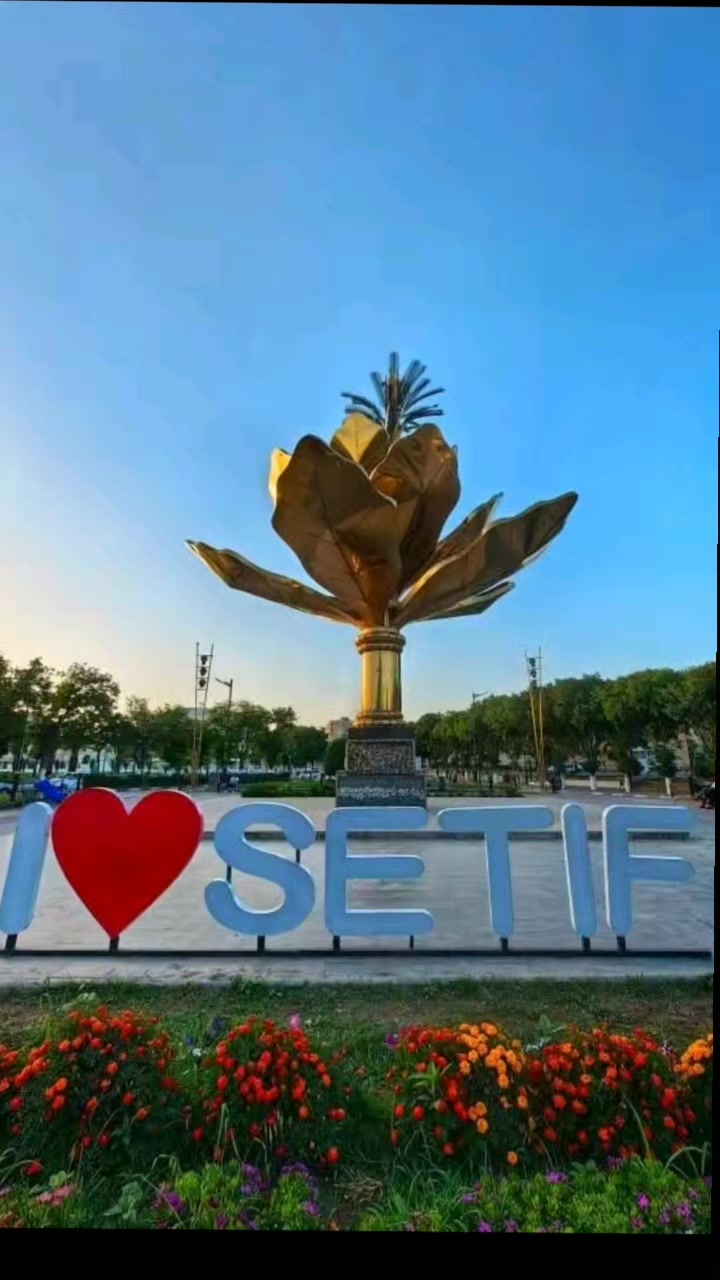 @๐จ๐ตLYON 19DZ๐ฉ๐ฟ