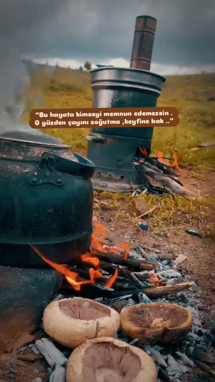 @xalxallok🐞🐞