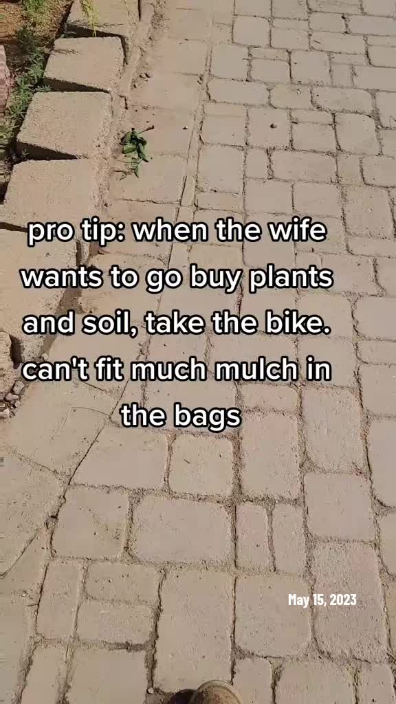 @Mike Mich