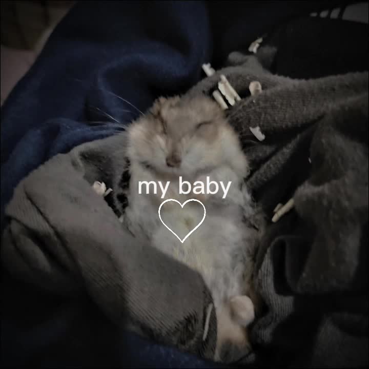 @X_XDALy