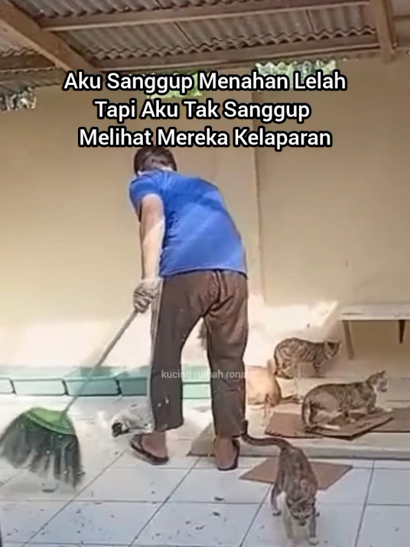 @Kucing Rumah Ronal