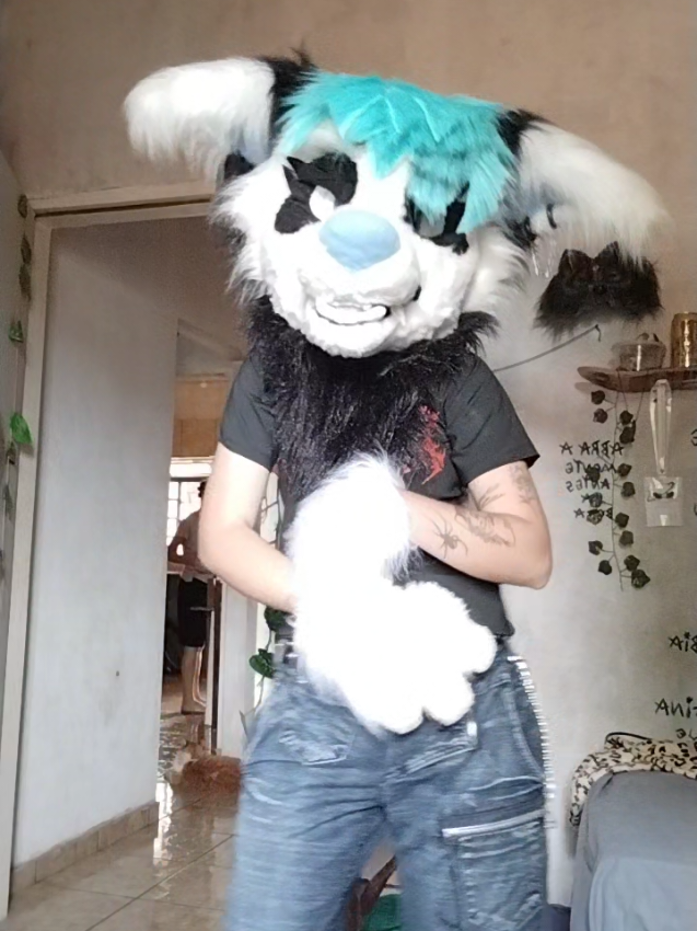 @𐂯✮⋆𝙷𝚞𝚙𝚘𝚕˙𓃡₊˚⊹🐾
