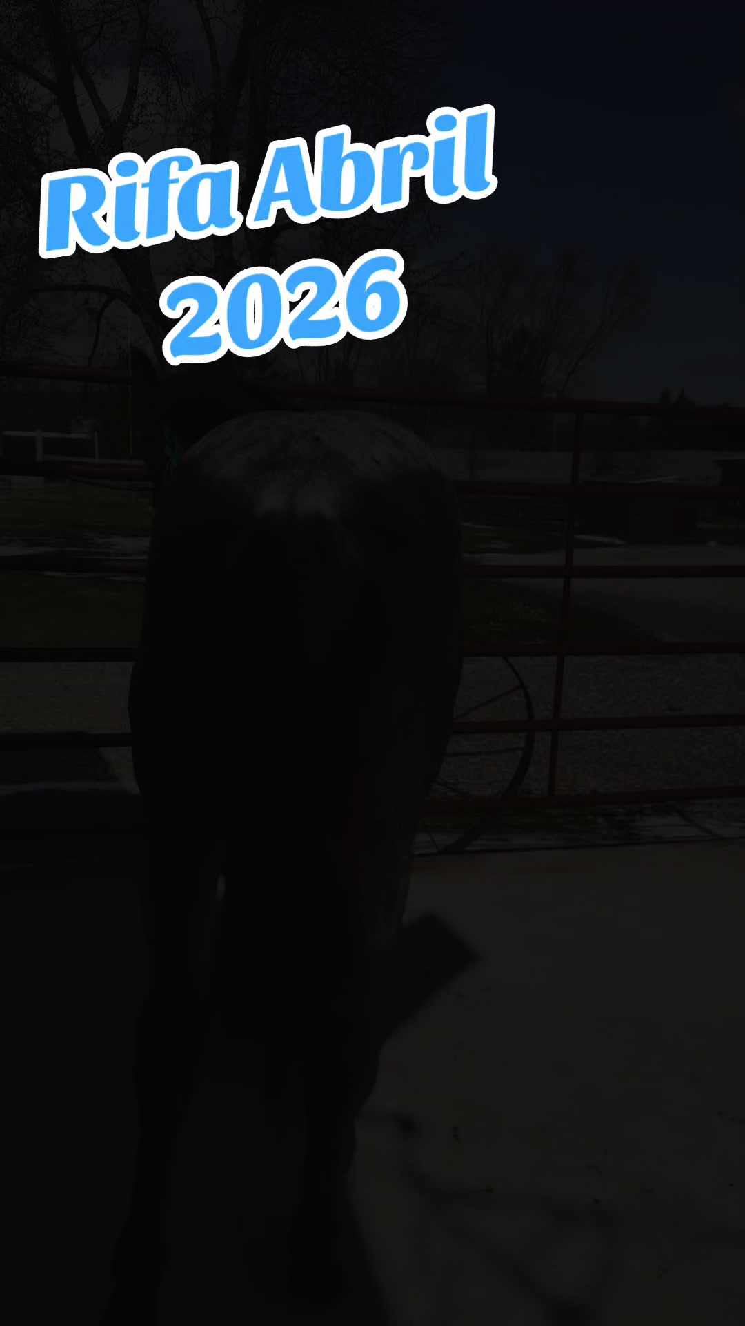 @R.L.P Quarter Horses