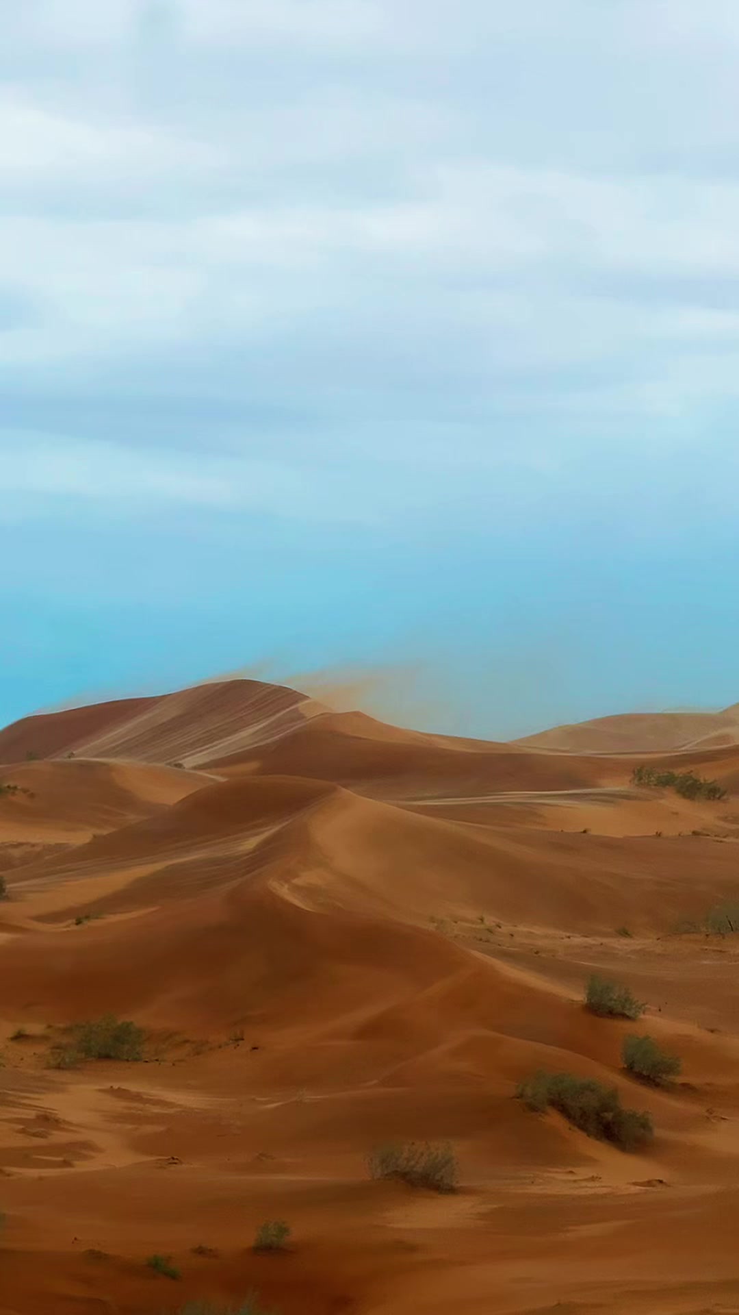 @محمد الشمّري | M7MD