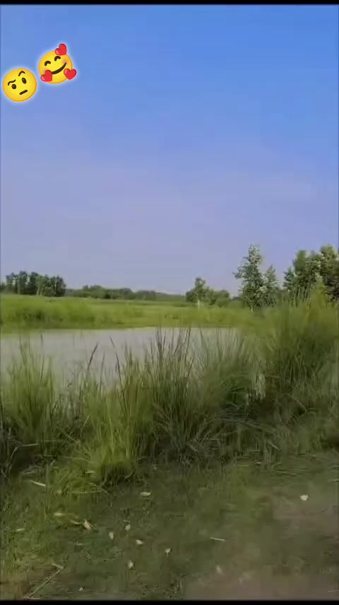 @Mohsin khan🤟