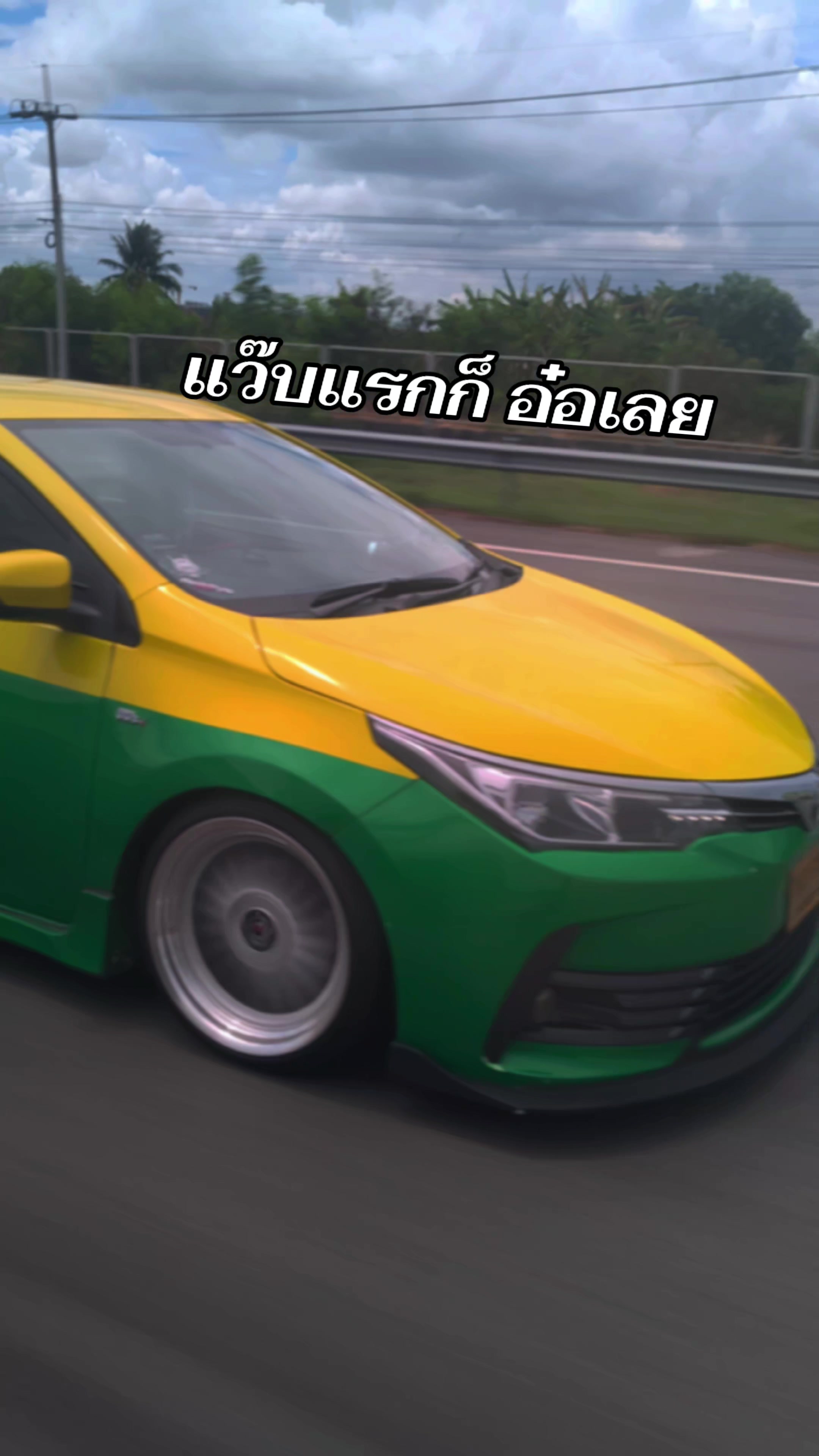@บอ บอล แดนดินส้มสีทอง
