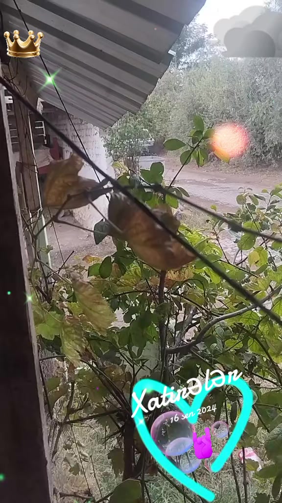 @Галина