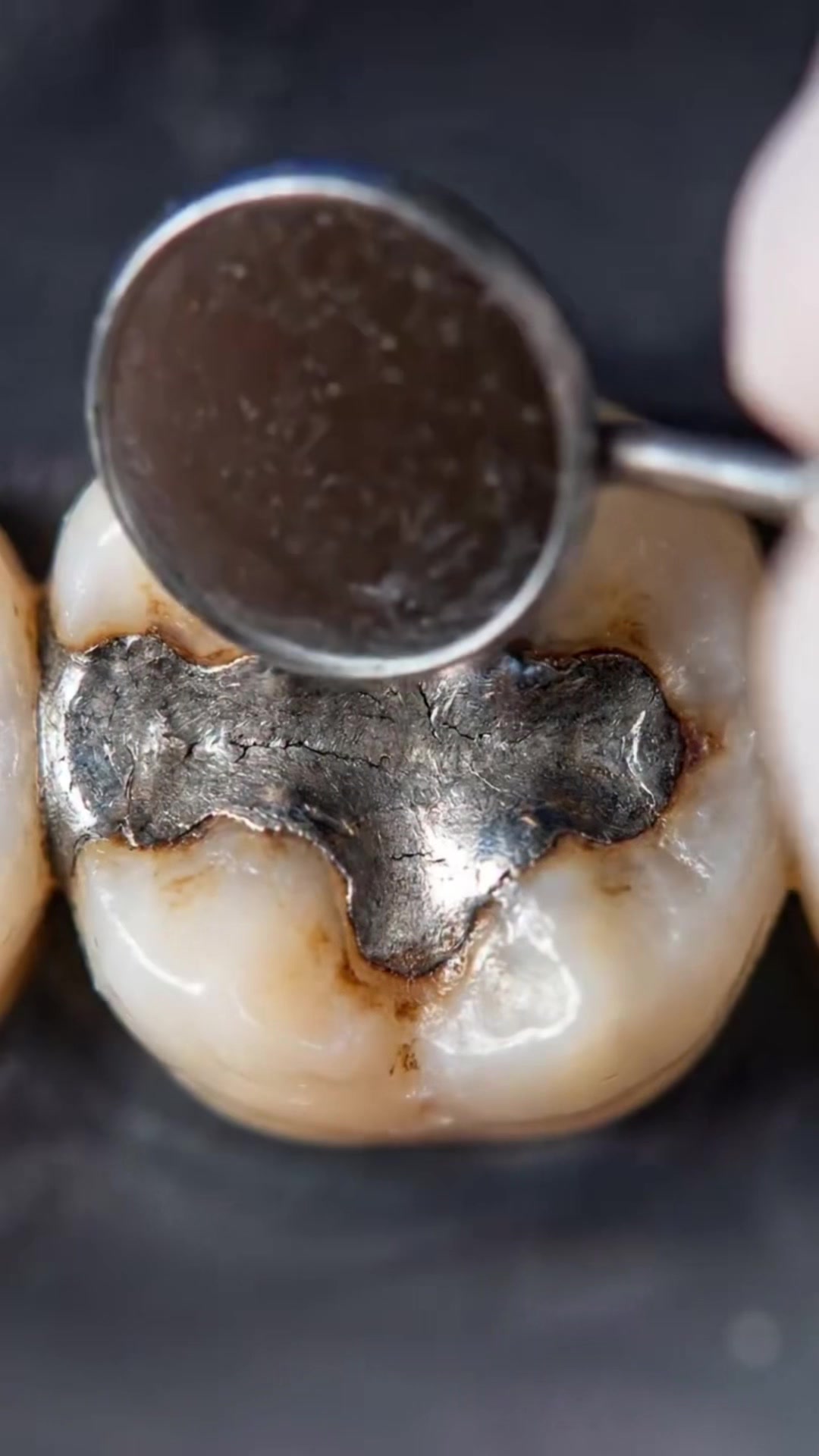 @puredentalhub
