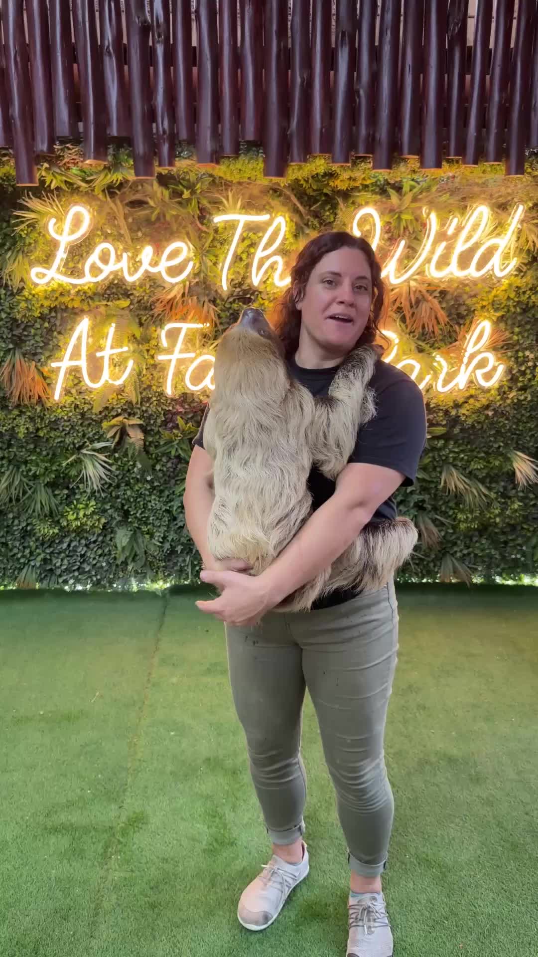 @The Reptile Zoo