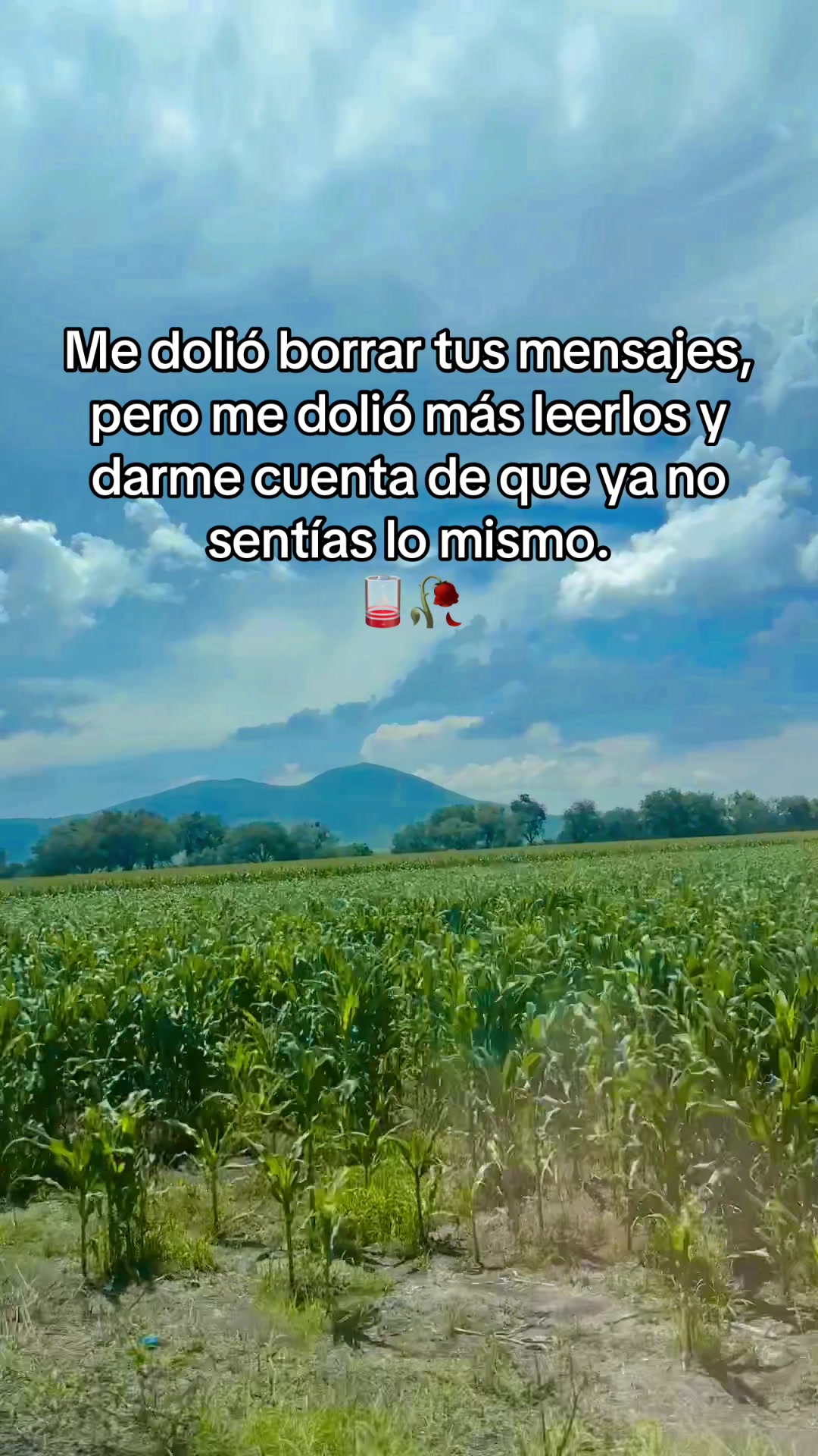 @PeKoSa 