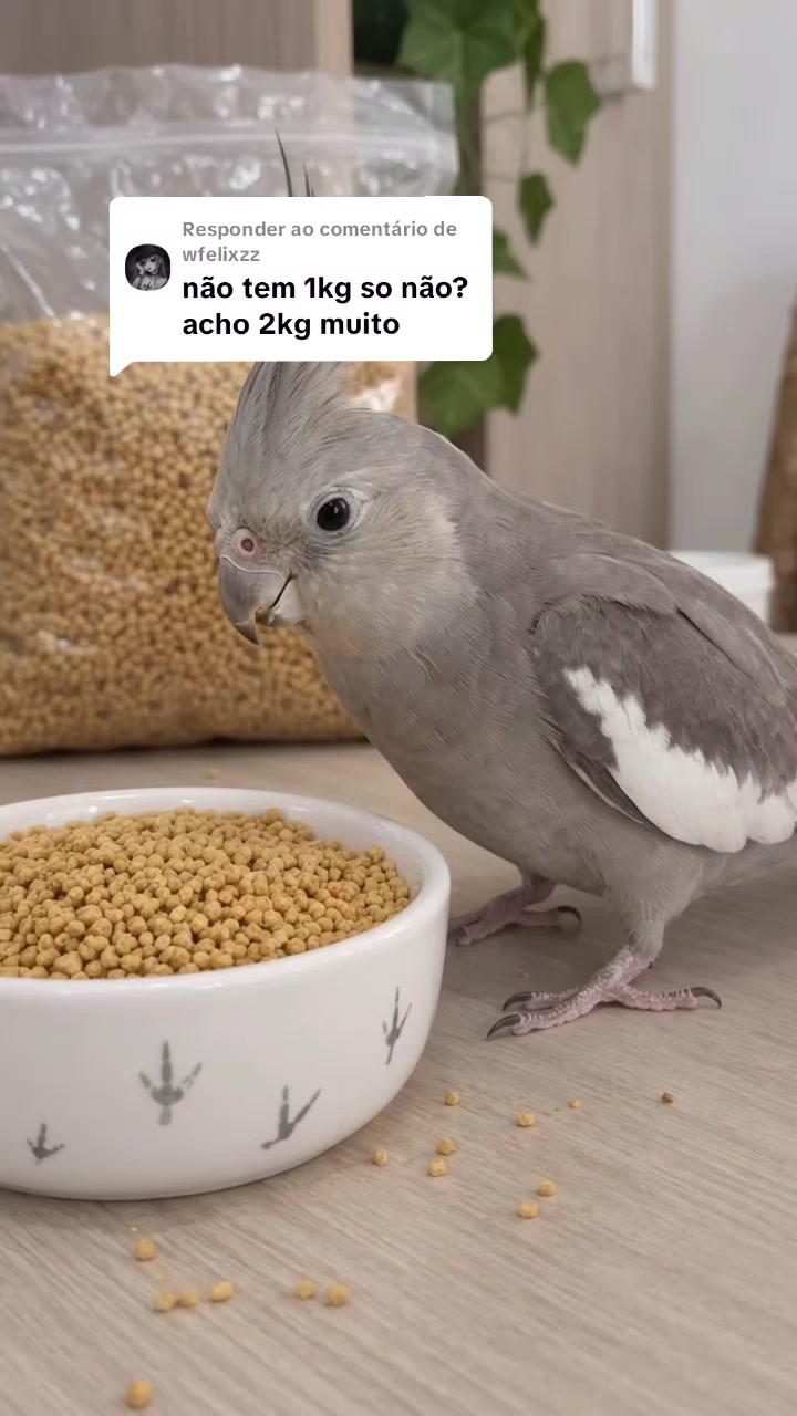 @✨️𝓛𝓾𝓷𝓪 𝓢𝓱𝓸𝓹 ✨