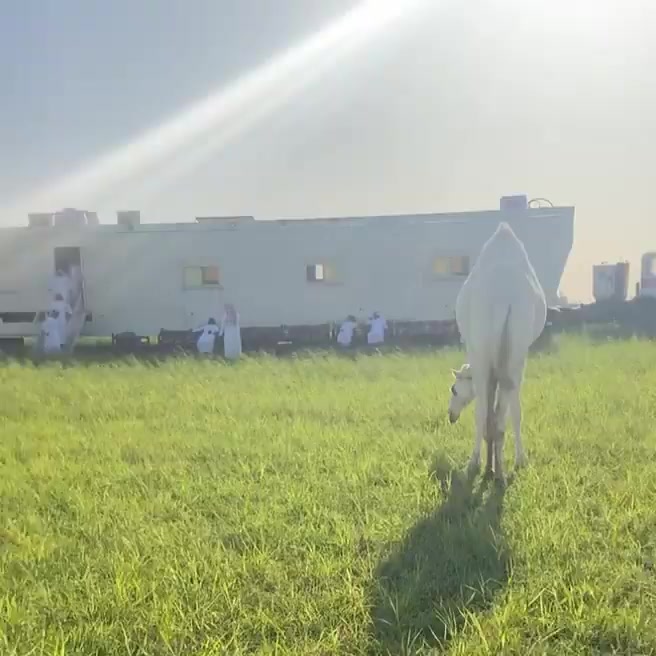 @عذب
