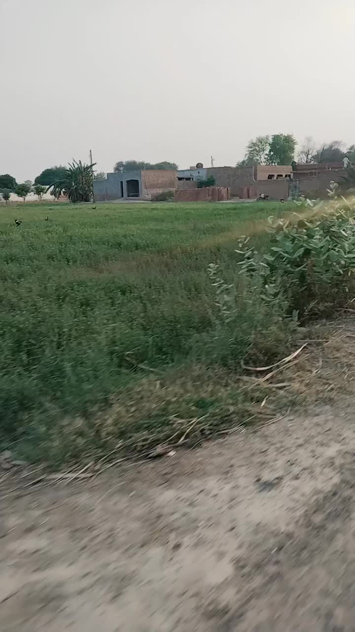 @zaheerfarooqi