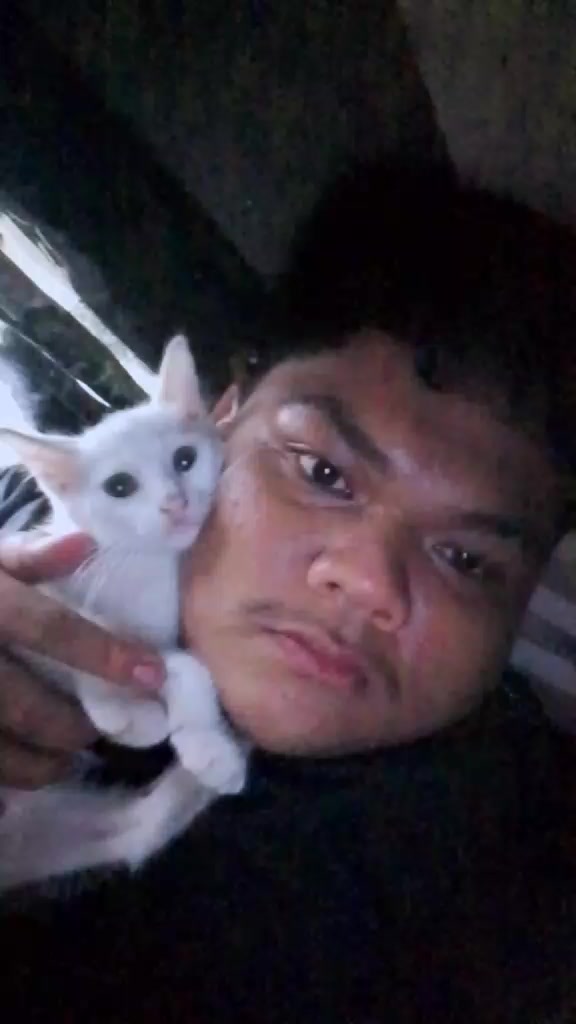 @✨ABDUL LUBIS