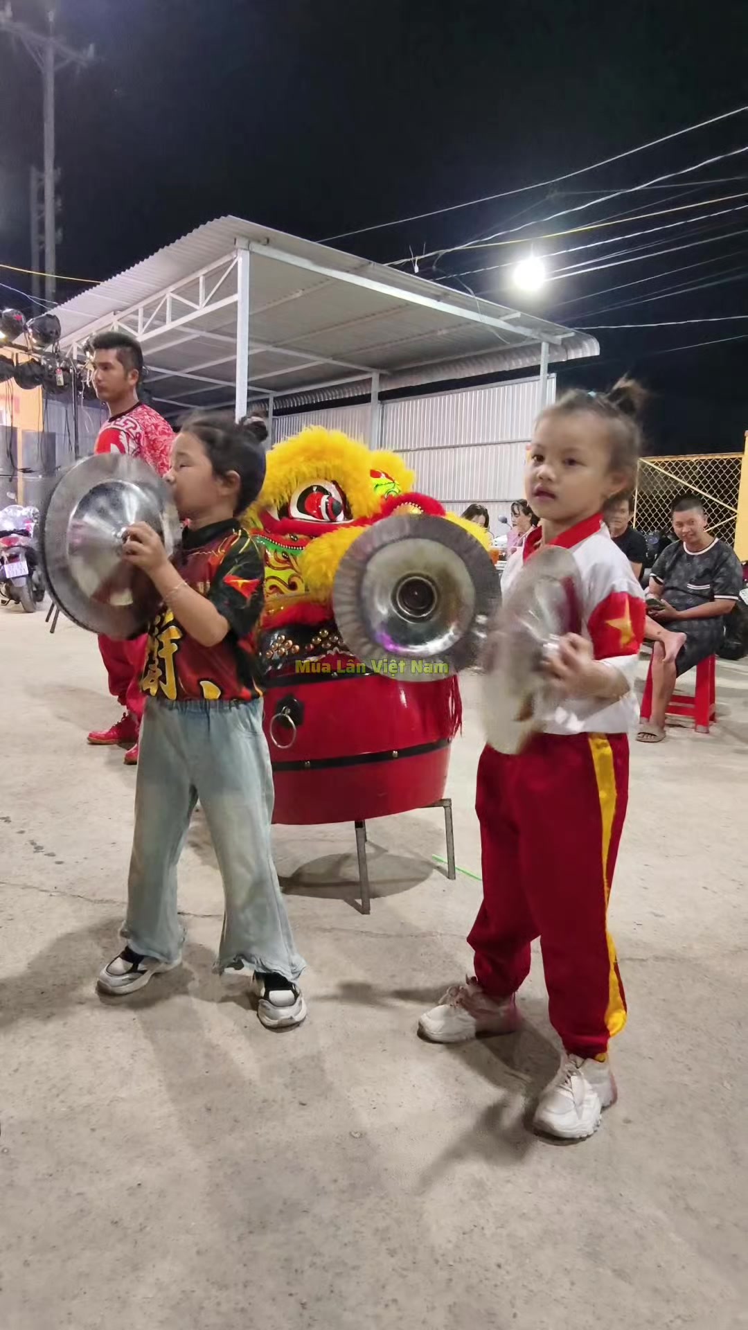 @M&uacute;a L&acirc;n Việt Nam 🇻🇳