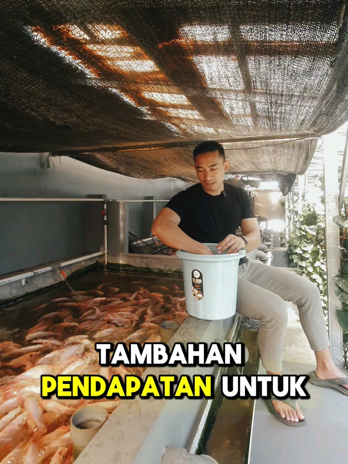 @NilaKu ID