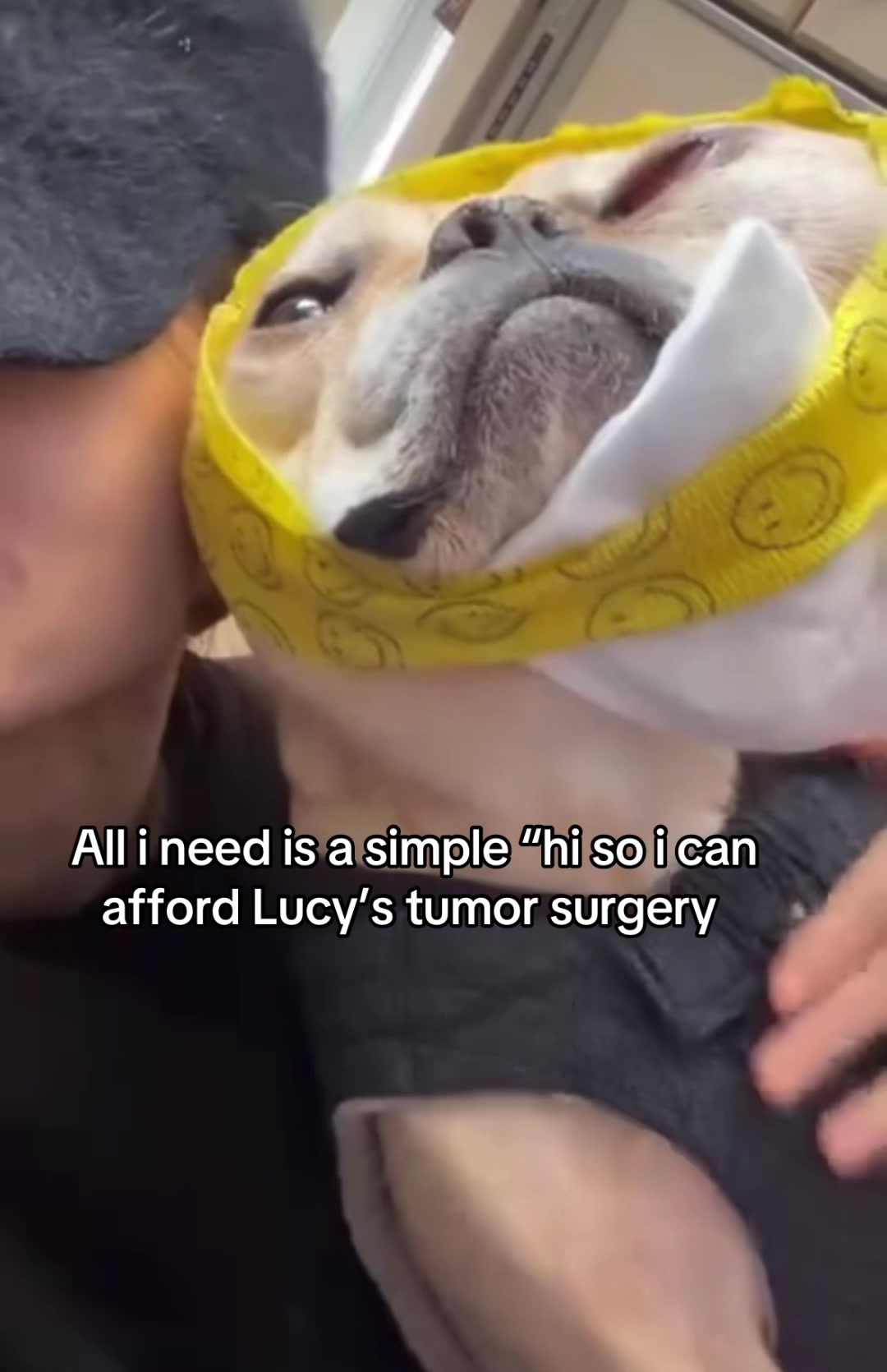 @Surgery for Lucy0