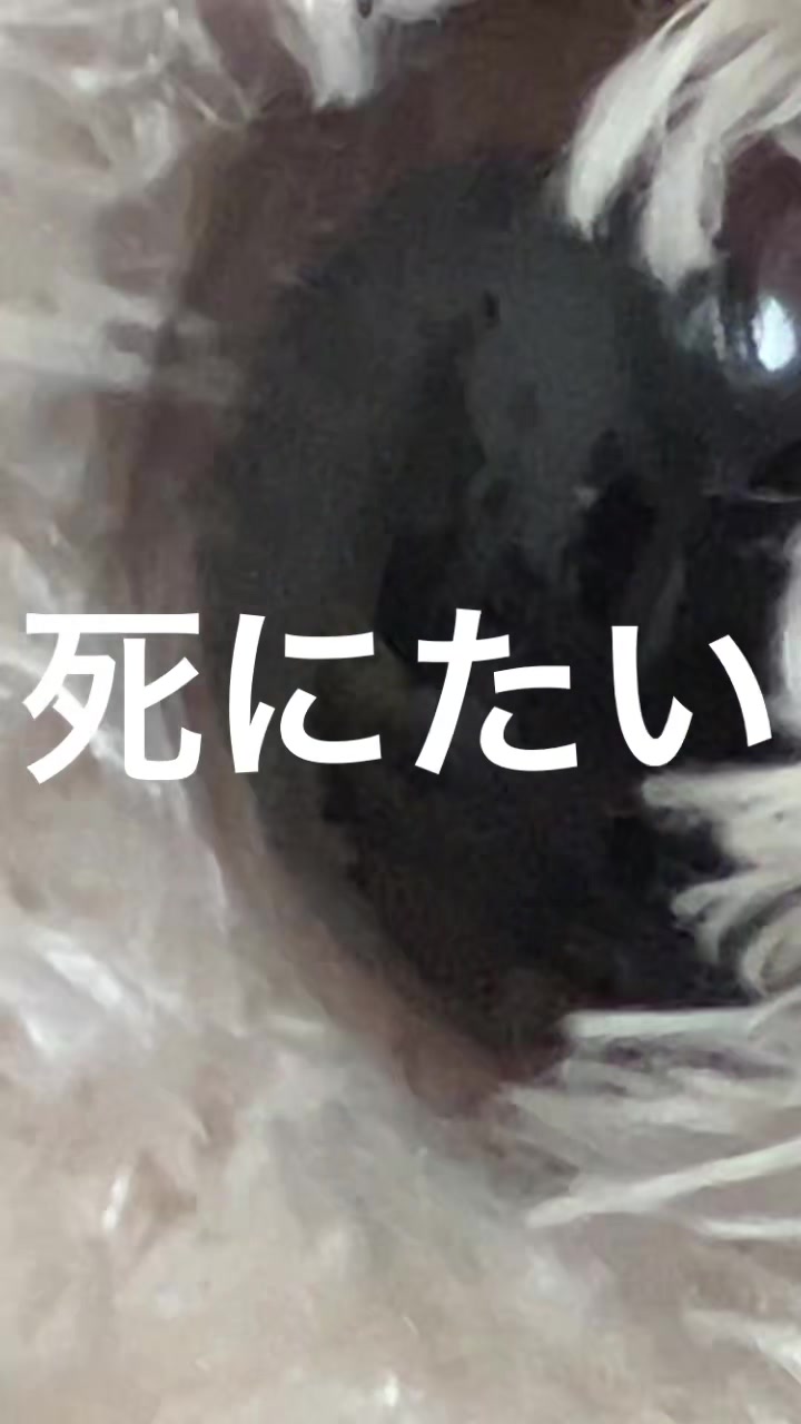 @無意味の永久機関
