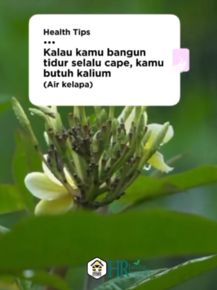 @Rumah Madu Indonesia