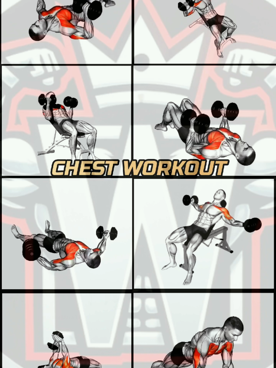 @Workout