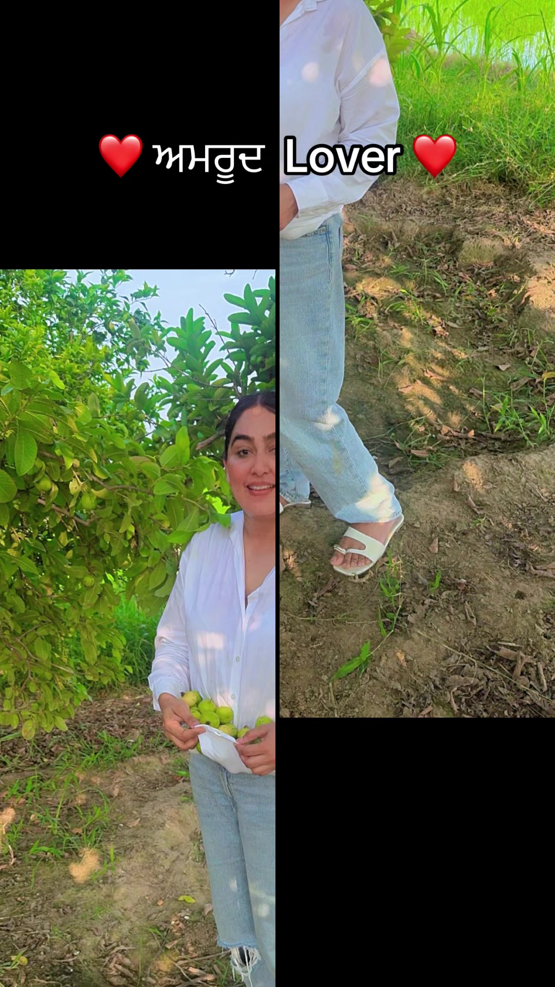 @gKorBrar