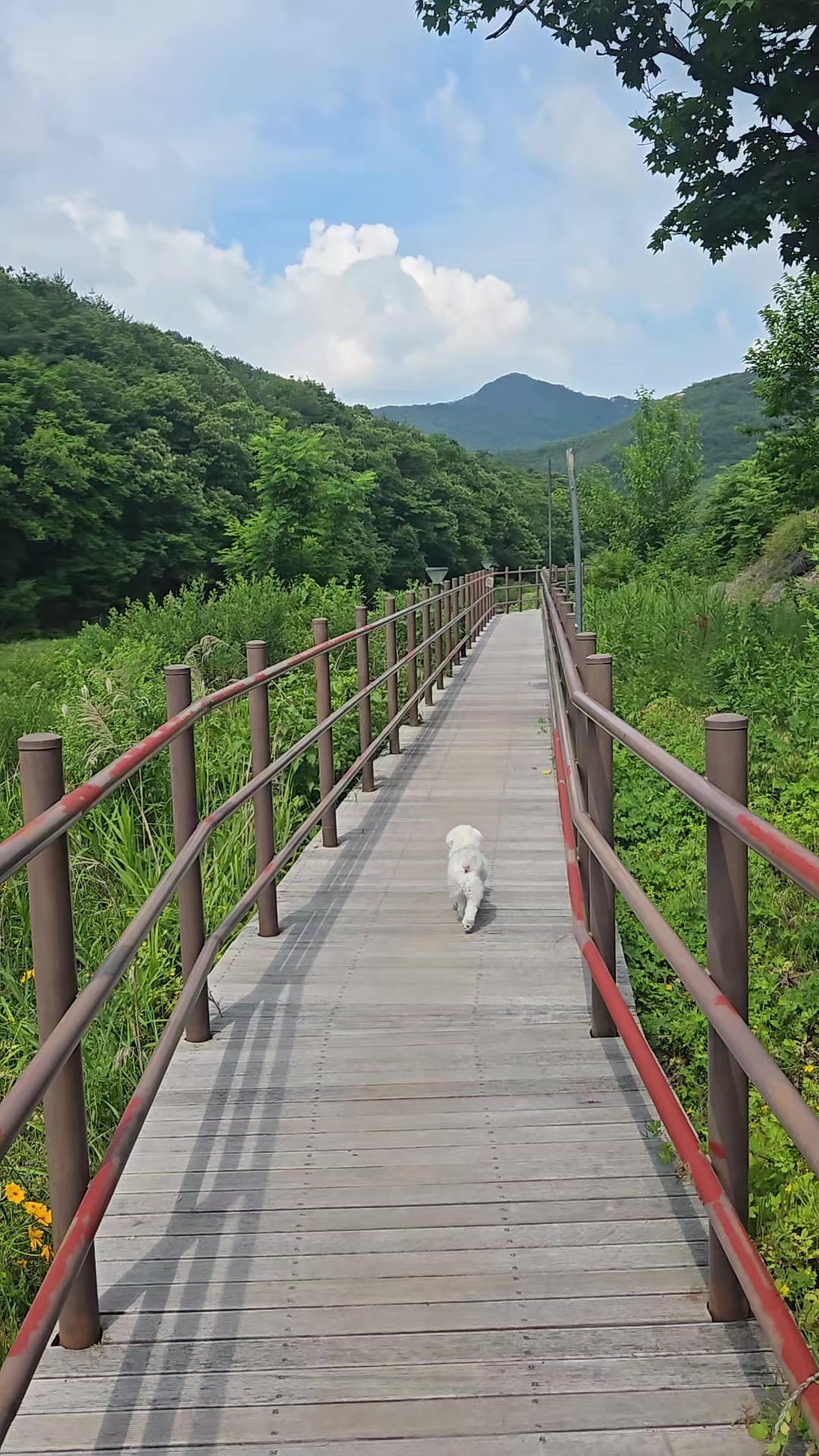 @율님