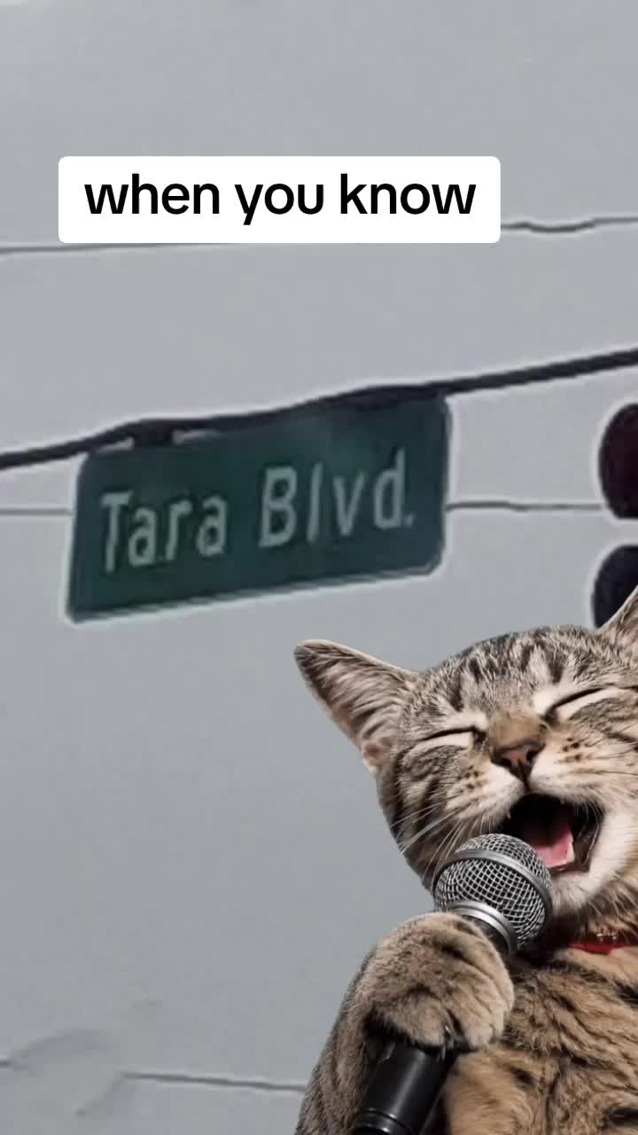 @Badnewz j.p.