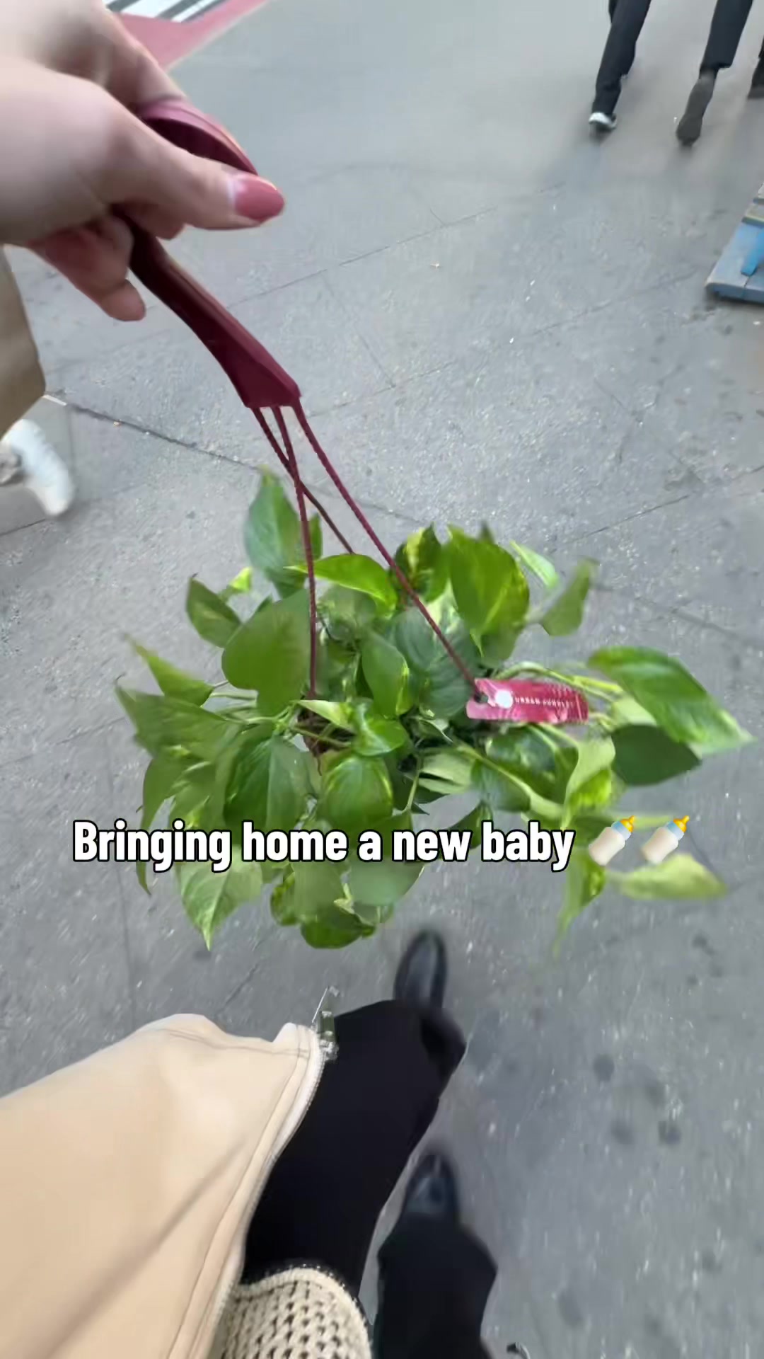 @Julia Teta