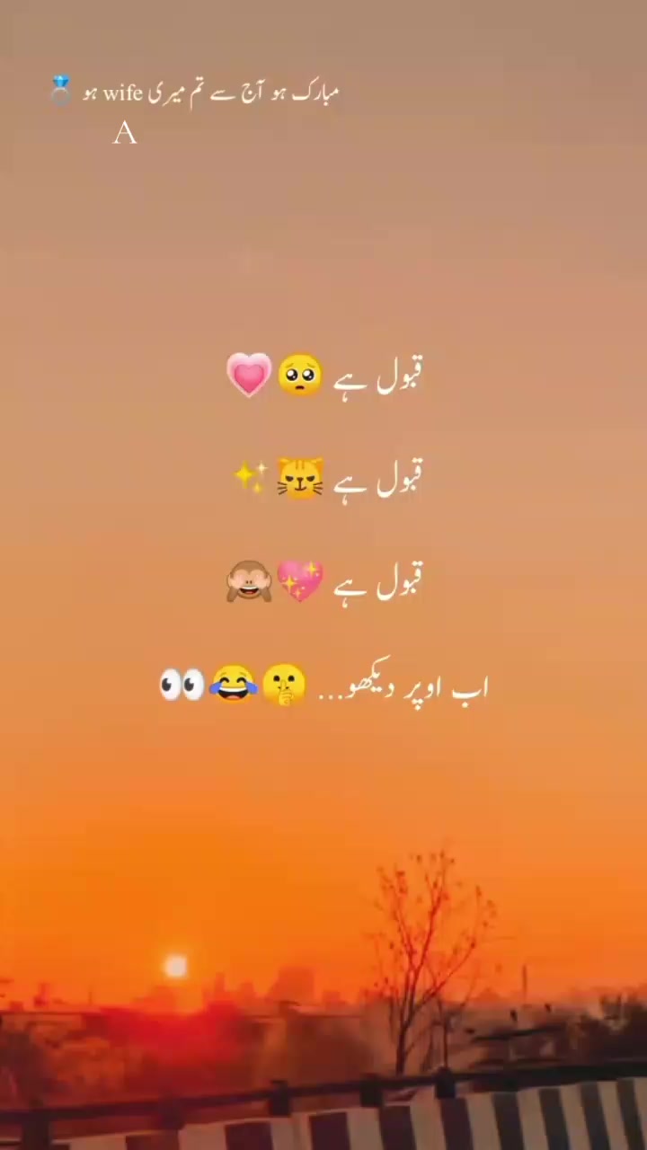 @❤️🩹ziddi 🤦