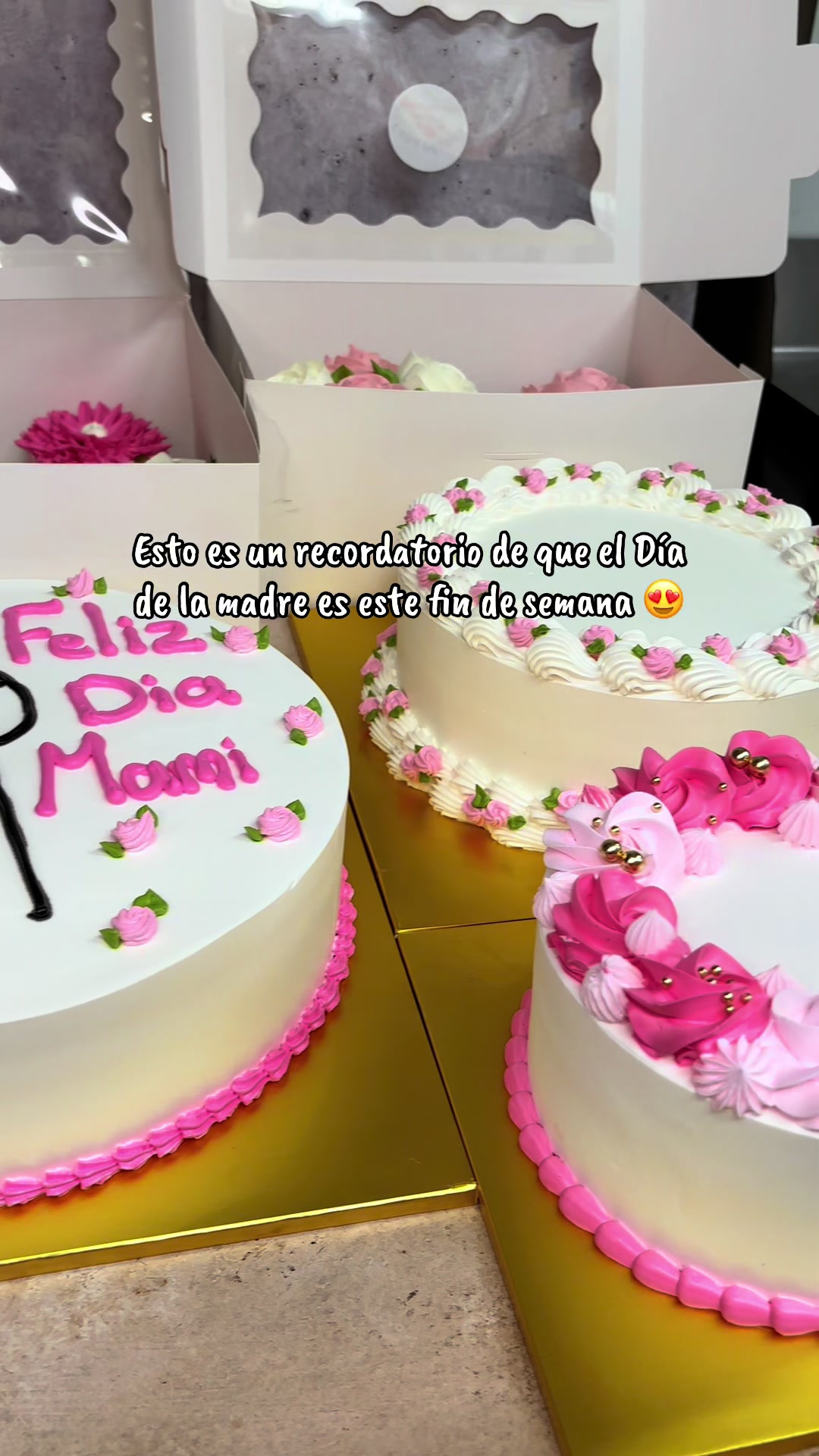 @Casa Blanca Bakery