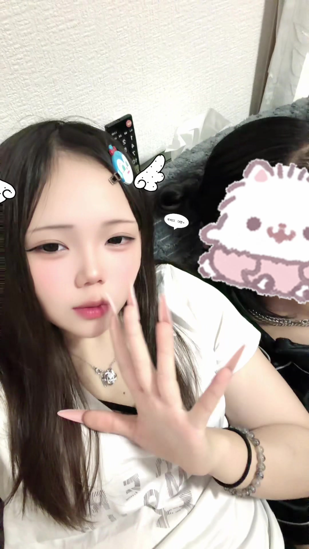 @たぬき