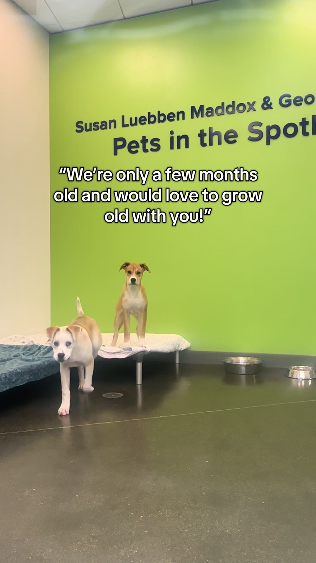 @San Diego Humane Society