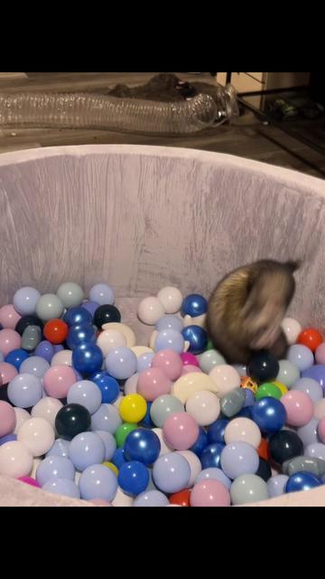 @XRabbyxx