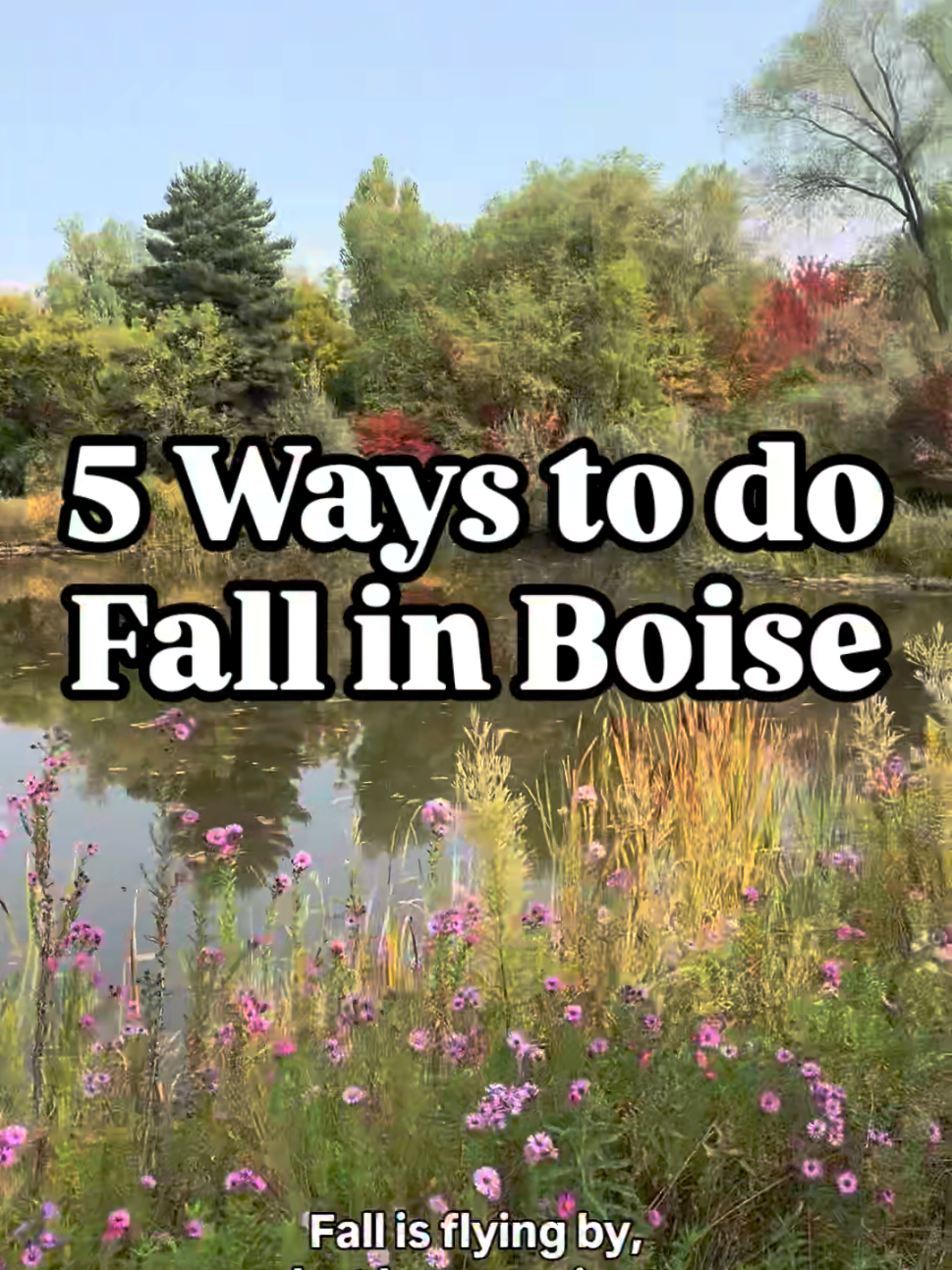 @boisemom