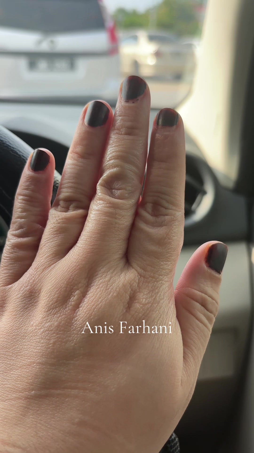 @anissfarhanii