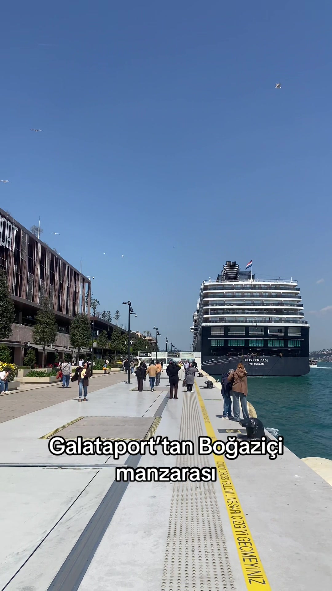@Tatilcibaşı