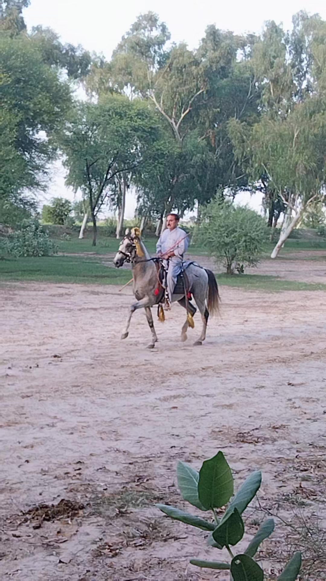 @چشتی صابری آفیشل