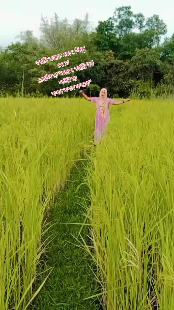 @sararahman2511