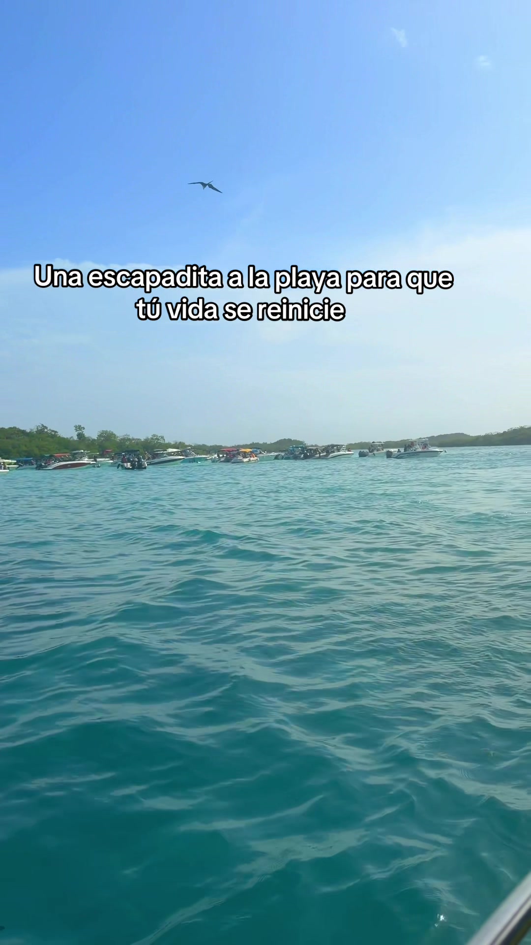 @Dra María Fonseca