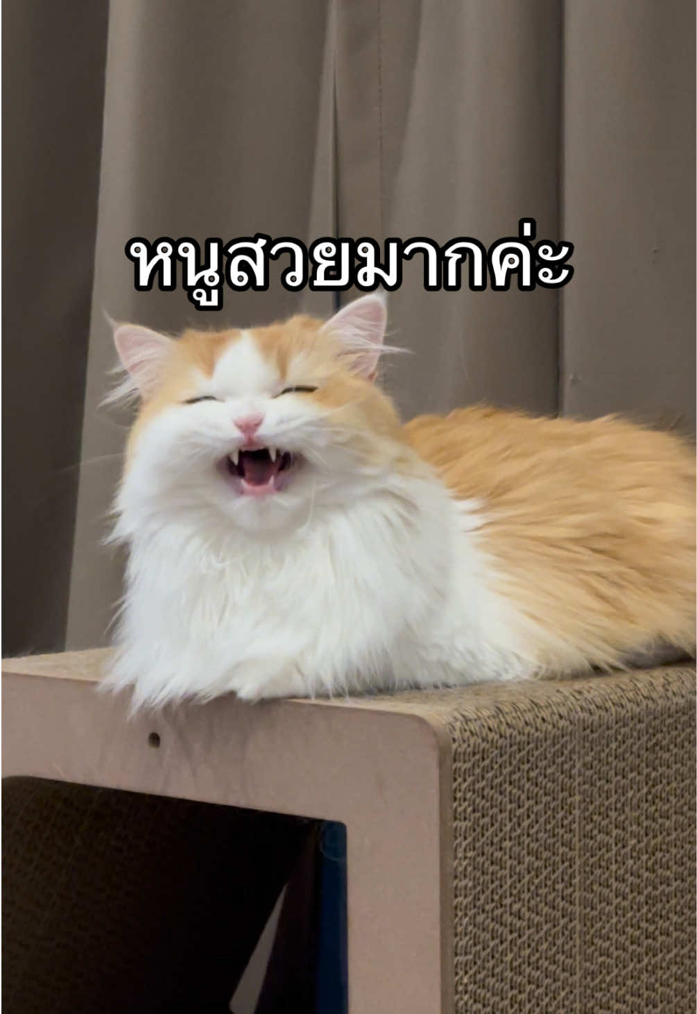 @เยอร์เก้นอยากเป็นดารา