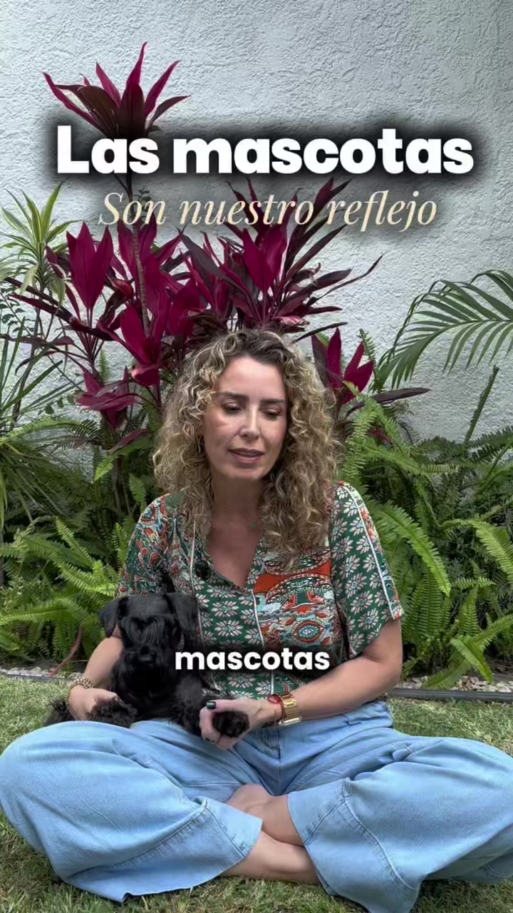 @Lic. Rocio Jazo
