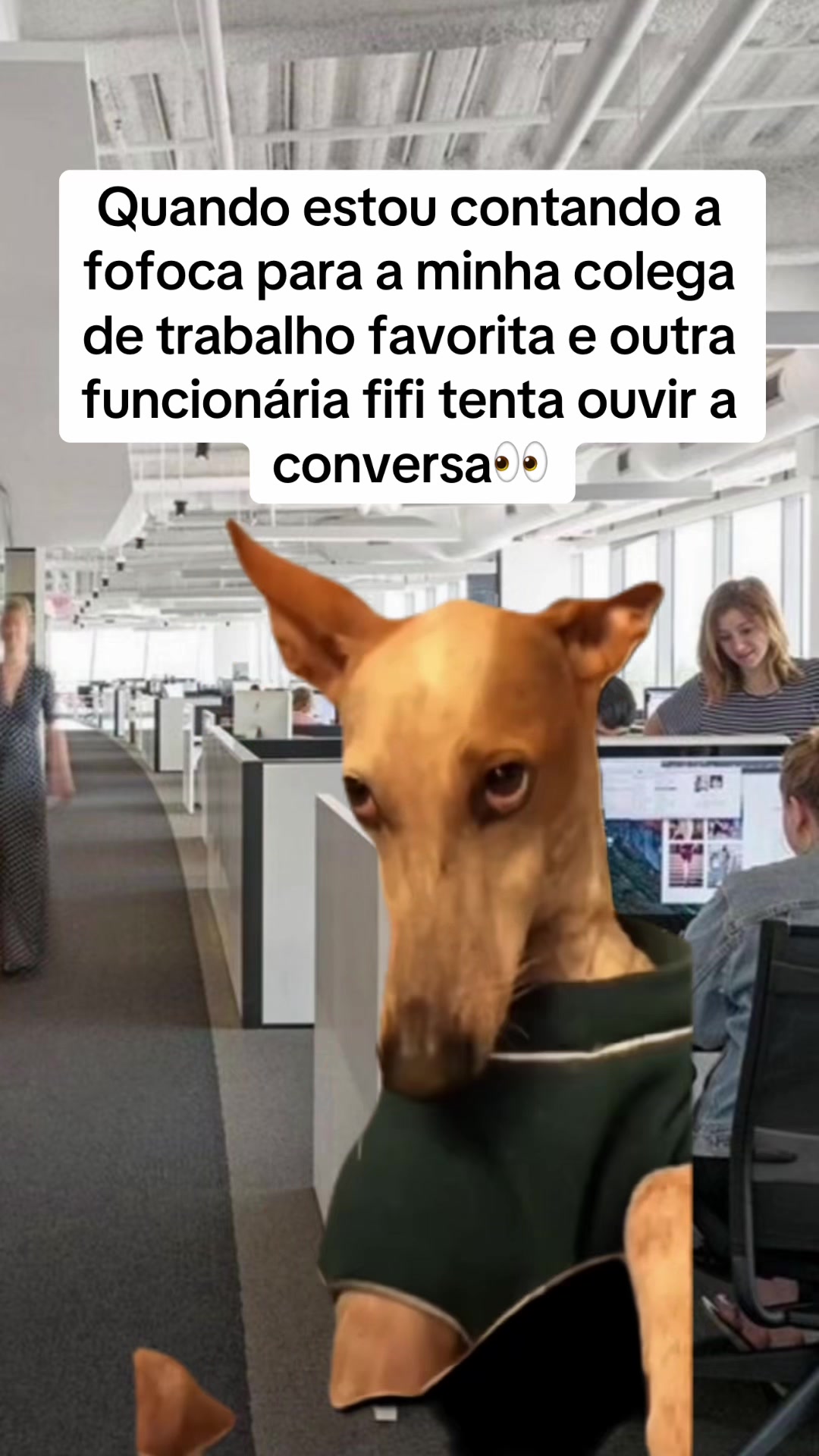 @tababadeira