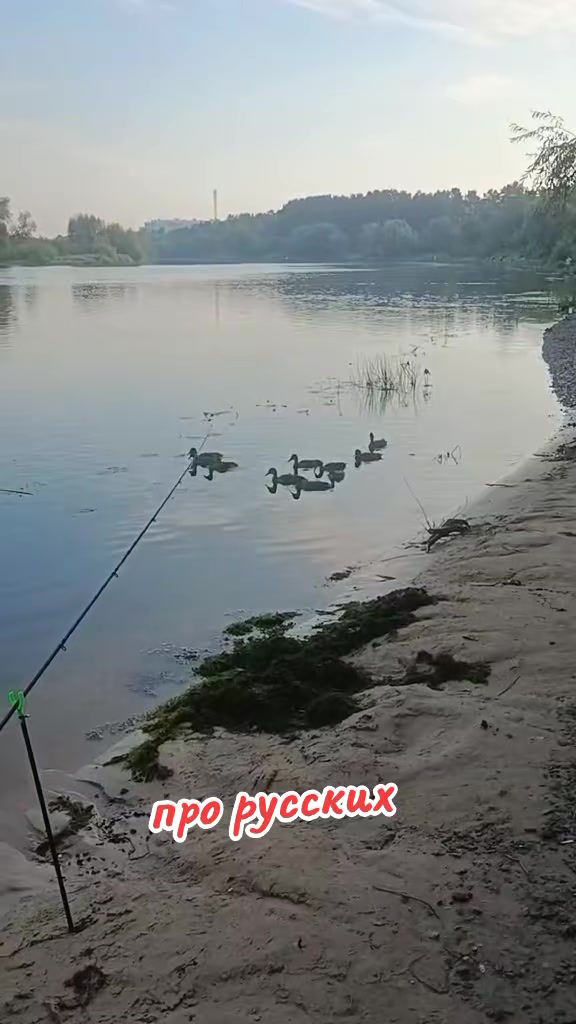 @🇧🇾Супер-Валерка🇷🇺