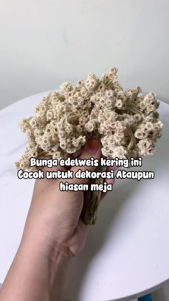 @tity muff