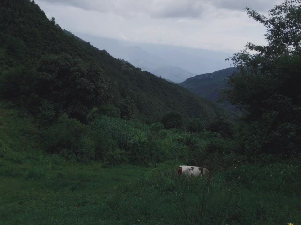@Wğxan