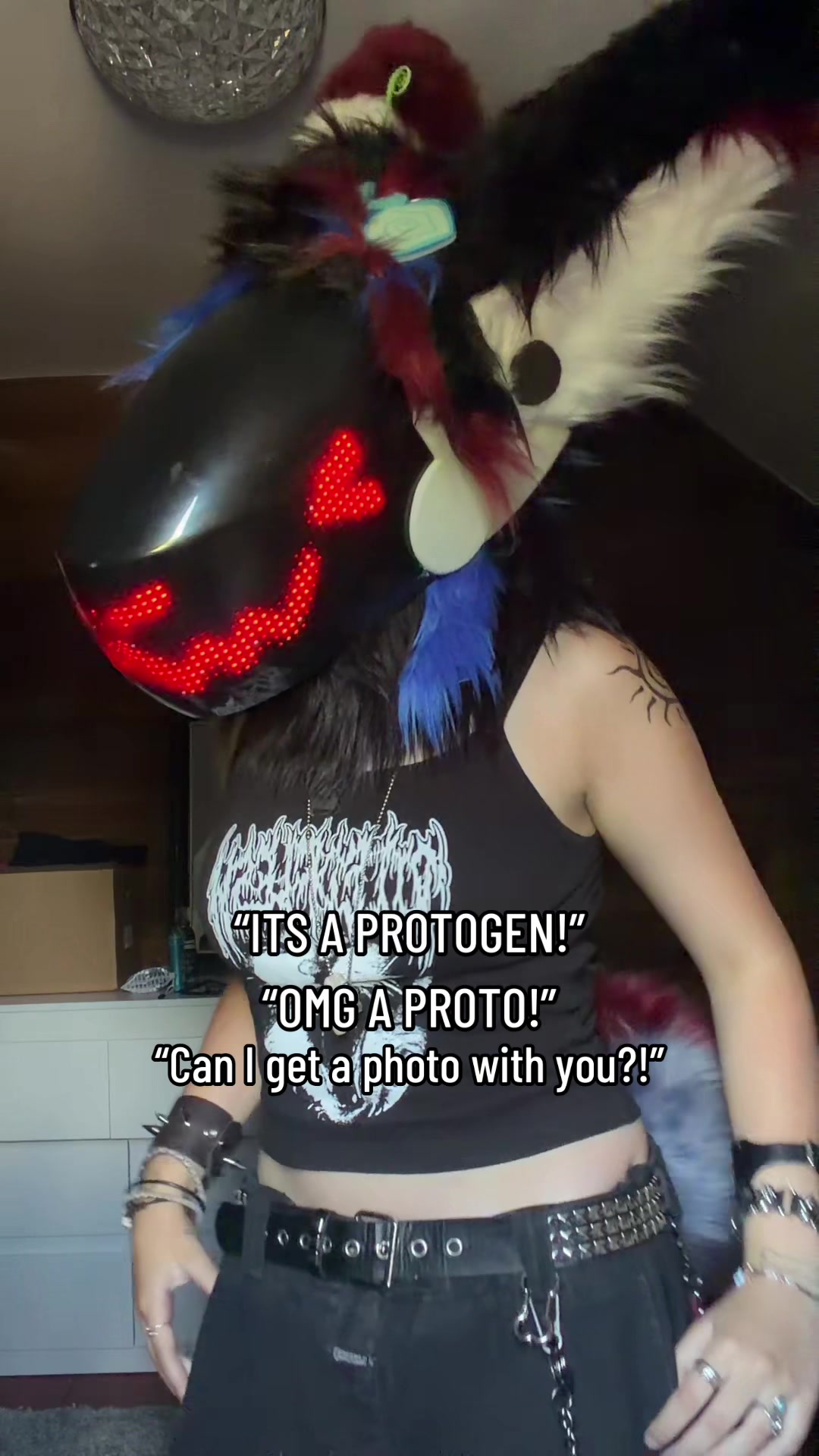 @Taz 🐺