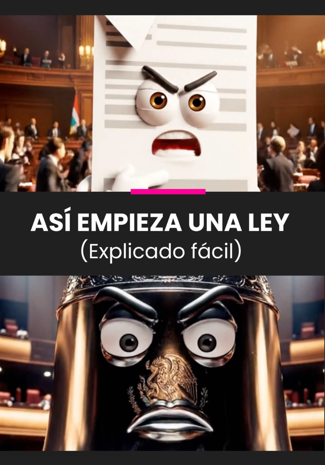 @Canal del Congreso México